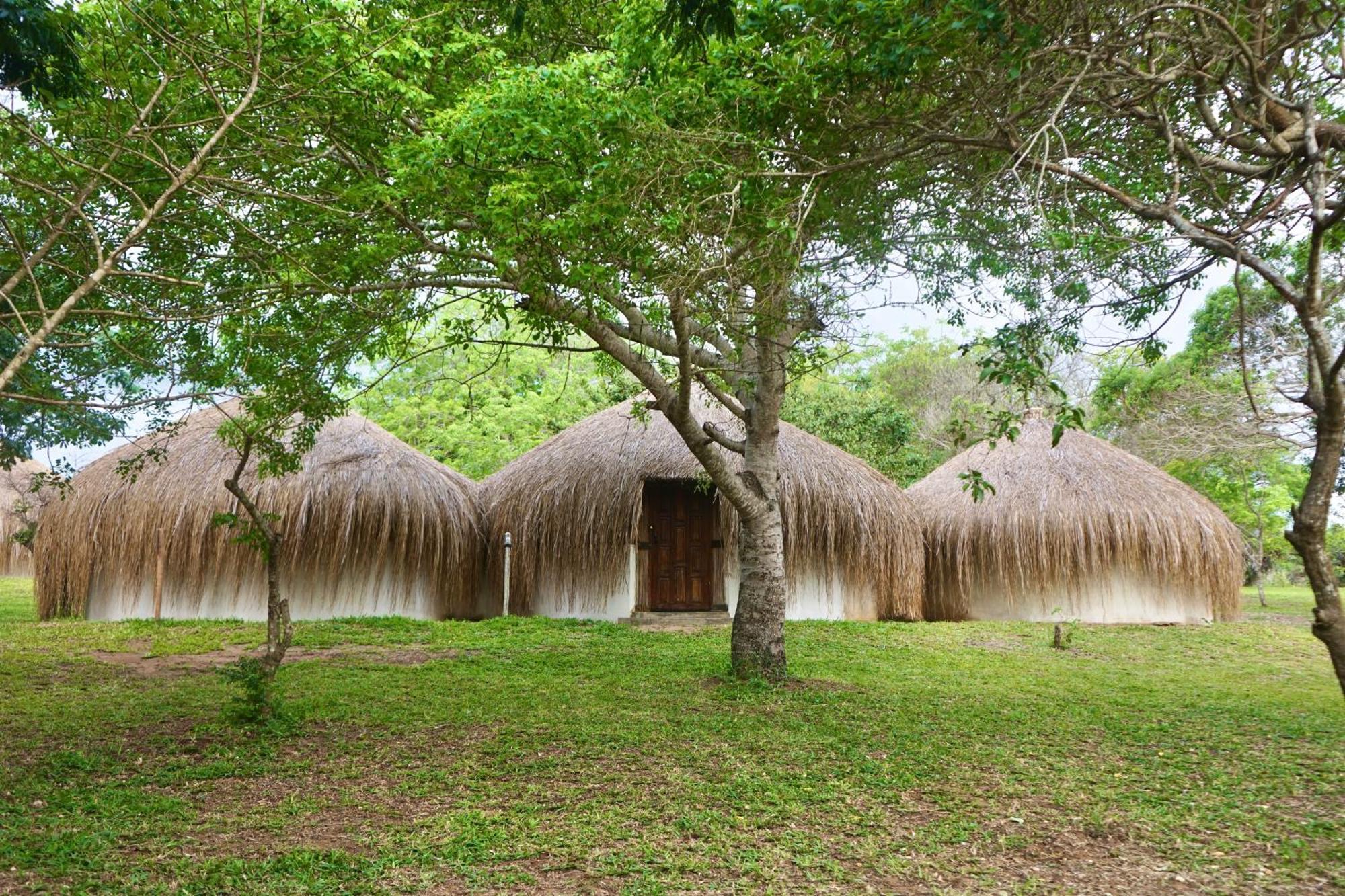 שידנגלי Nhambavale Lodge מראה חיצוני תמונה